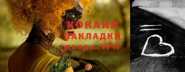 круглые Иннополис