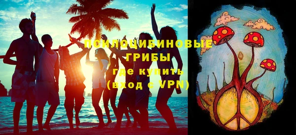 метадон Инсар