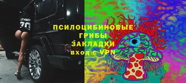 кристаллы Инта