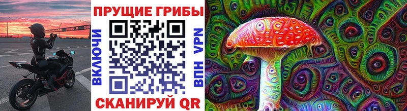 Купить где  Губкин  Псилоцибиновые грибы прущие грибы 