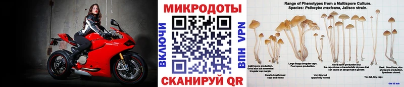 Псилоцибиновые грибы мицелий Губкин