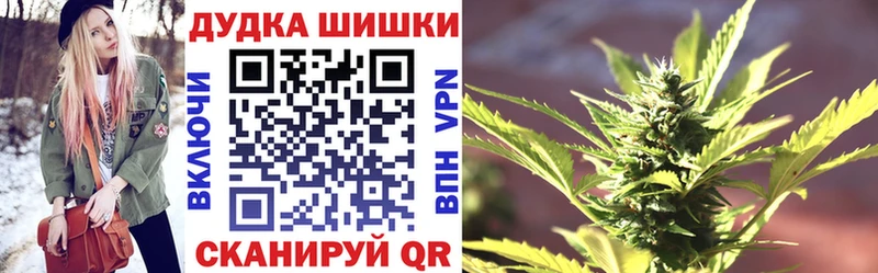 Каннабис ГИДРОПОН  Купить где  Губкин 